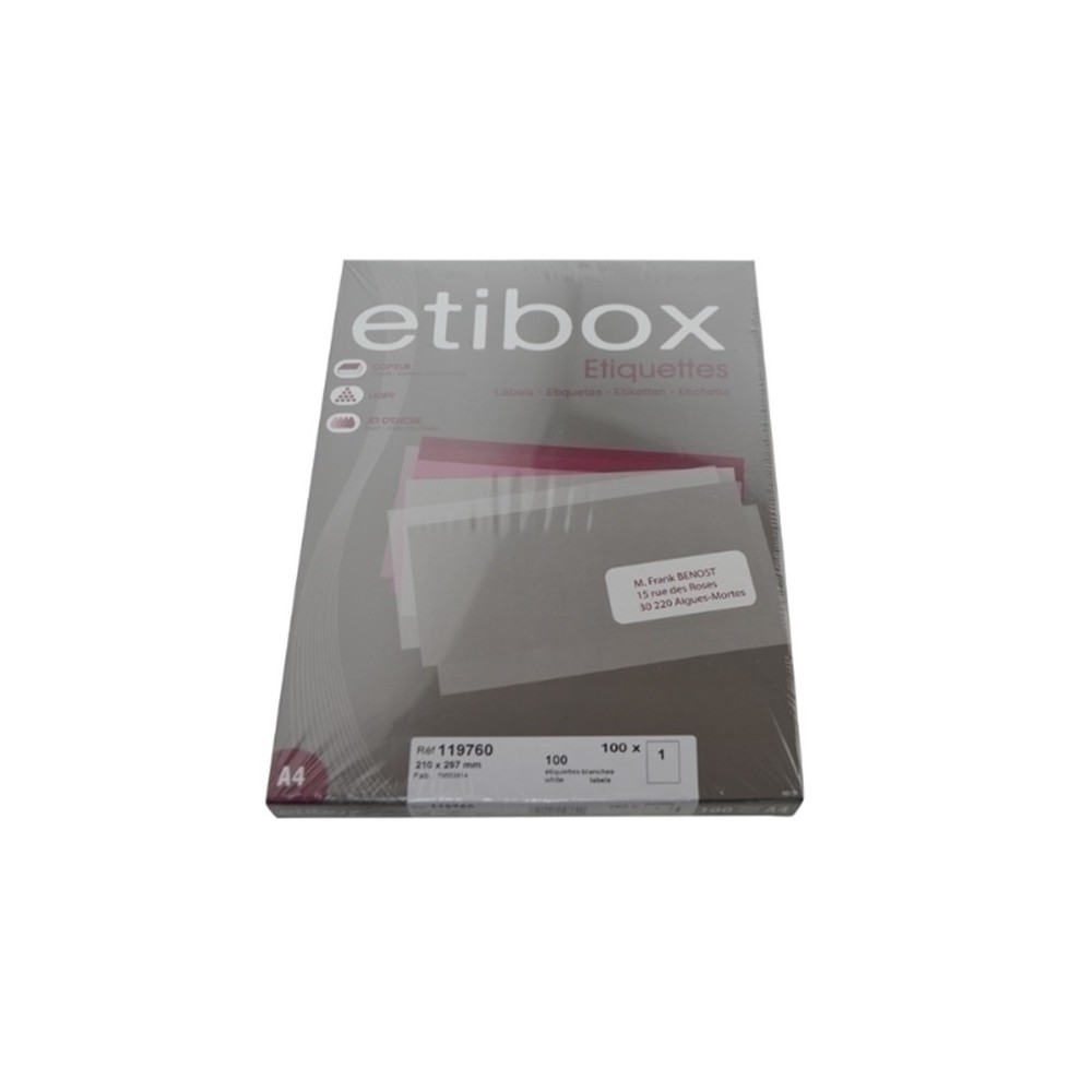 etiquetas multifuncion a4 blancas 210 x 297 caja de 100 hoj